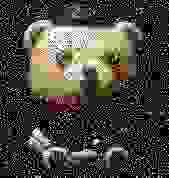 a very fine gentlemen